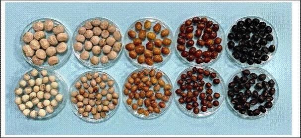 ICAR develops India's first complete pigeonpea genome, boosting pulse breeding research